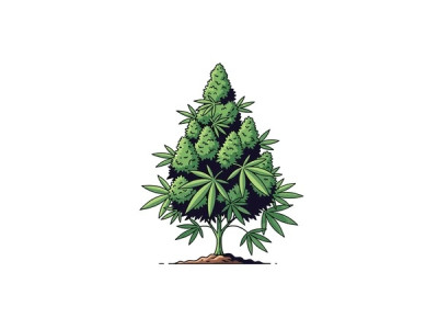 🌿 Каннабіноїди в Контексті 🌿