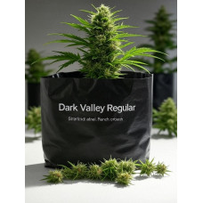 Dark Valley Regular