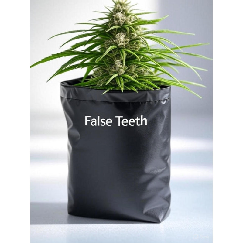 False Teeth