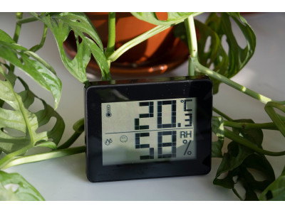 Ідеальний клімат: Температура та вологість у гроутенті.