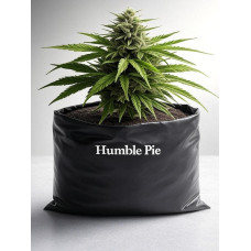 Humble Pie