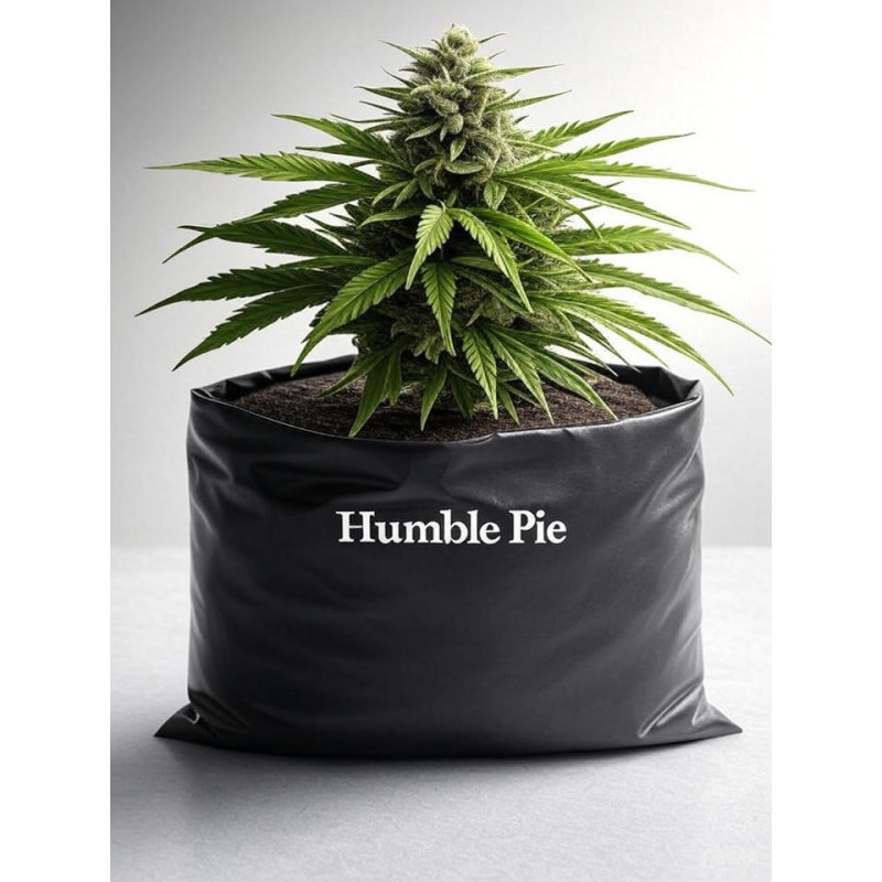Humble Pie