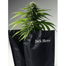 Jack Herer
