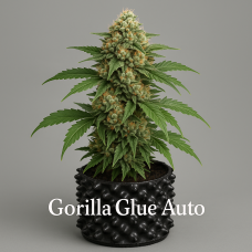 Gorilla Glue Auto