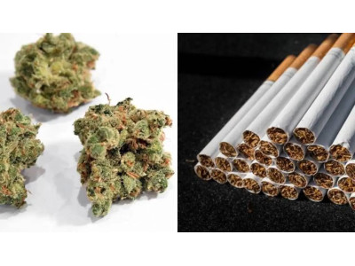 Канабіс і тютюн: Як кинути курити сигарети за допомогою CBD 🚭🌿