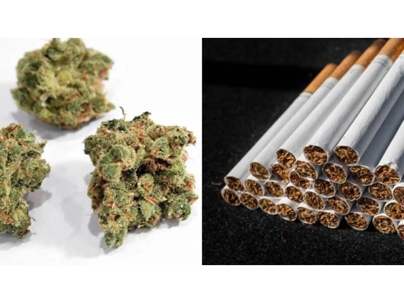 Канабіс і тютюн: Як кинути курити сигарети за допомогою CBD 🚭🌿