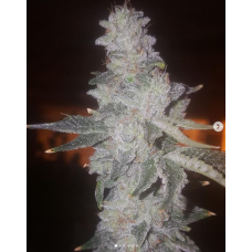 Alaskan Funk
