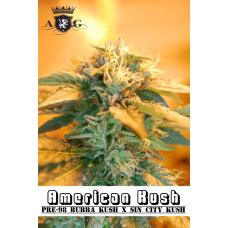 American Kush