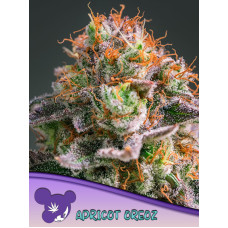 Apricot Oreoz
