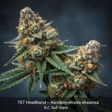 707 Headband