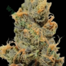 Ananas Funk
