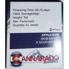 Apple Bob