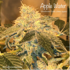 Apple Water