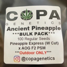 Ancient Pineapple