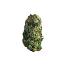 AK47 Autoflowering