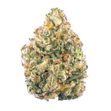 AK47