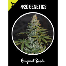 AK47 Auto