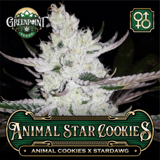 Animal Star Cookies