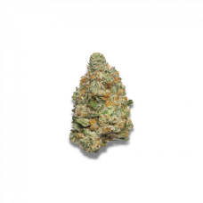 Apple Fritter Autoflower