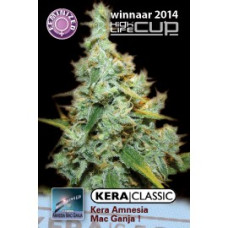 Amnesia Mac Ganja