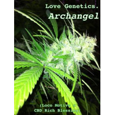 Archangel