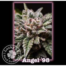 Angel ’98