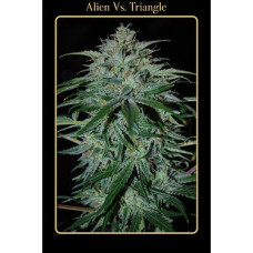 Alien Vs Triangle