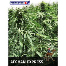 Afghan Express