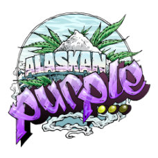 Alaskan Purple