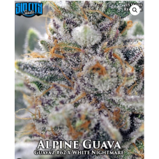 Alpine Guava
