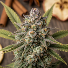 Amy’s Apple Pie