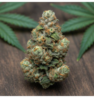'78 Skunk 'D' x Gorilla Grape