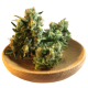 Bubble Gum
