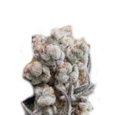 Alien OG