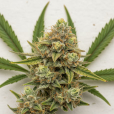 Airside OG