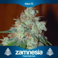 Afghan OG