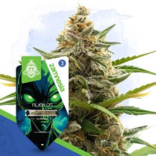 Alien OG Automatic