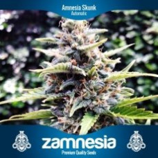 Amnesia Skunk Automatic