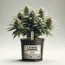 2 Stroke Lemonade