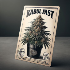 Kabul Fast