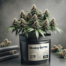 Monkey Berries