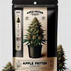Apple Fritter