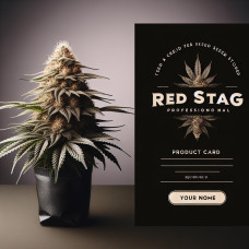 Red Stag
