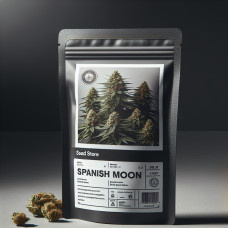 Spanish Moon