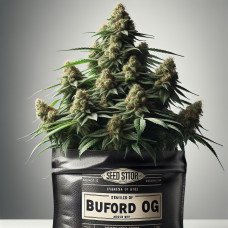 Buford OG
