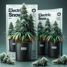 Electric Snow