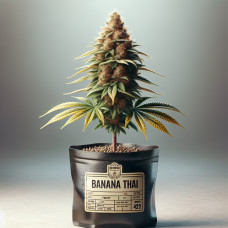 Banana Thai